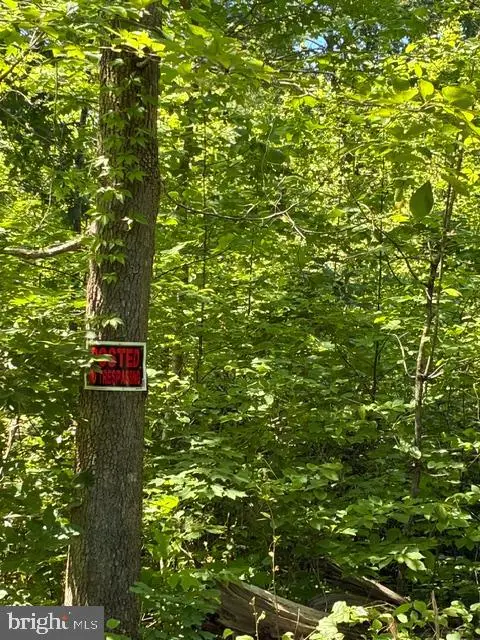 Lot 27 66b Kovi Ridge Trl, Reva, VA 22735 - #3