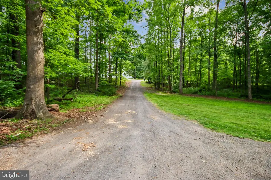 10309 Dutch Hollow Rd, Rixeyville, VA 22737 - #3