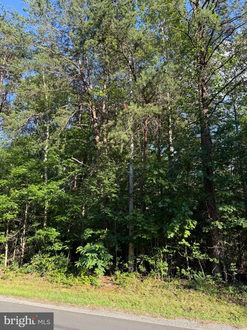 Kirtley Trl, Culpeper, VA 22701 - #2
