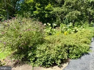19452 Hickory Dr, Culpeper, VA 22701 - #3