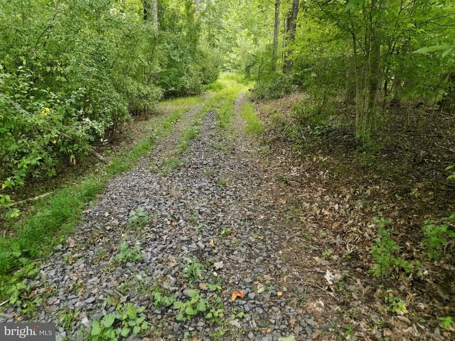 Holly Springs Rd, Amissville, VA 20106 - #2