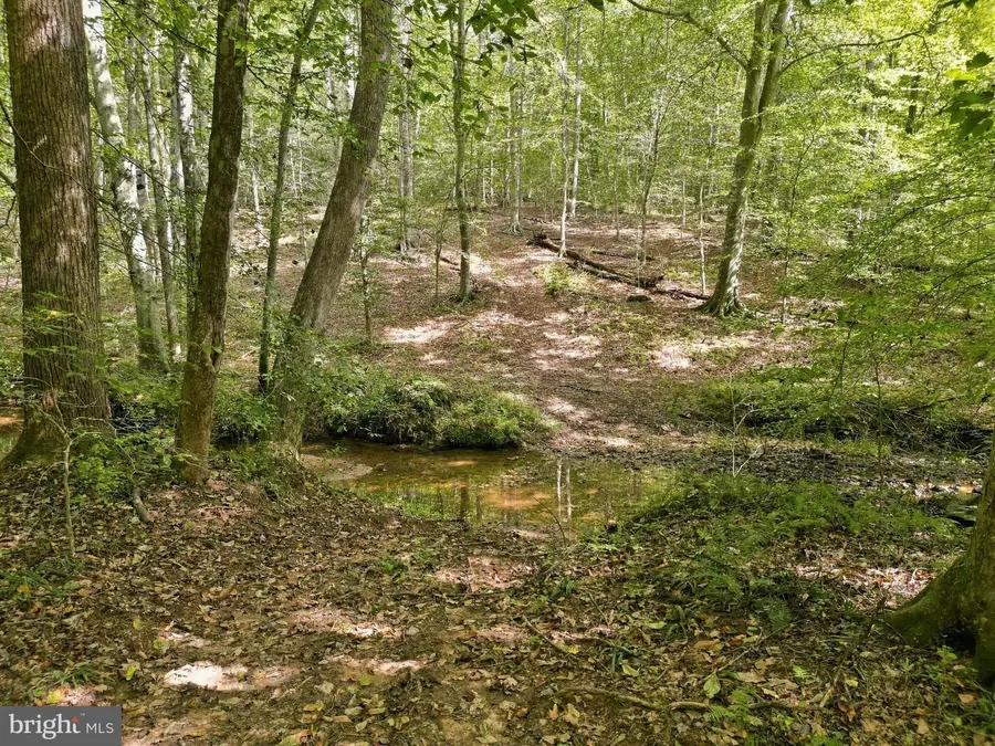 Holly Springs Rd, Amissville, VA 20106 - #3