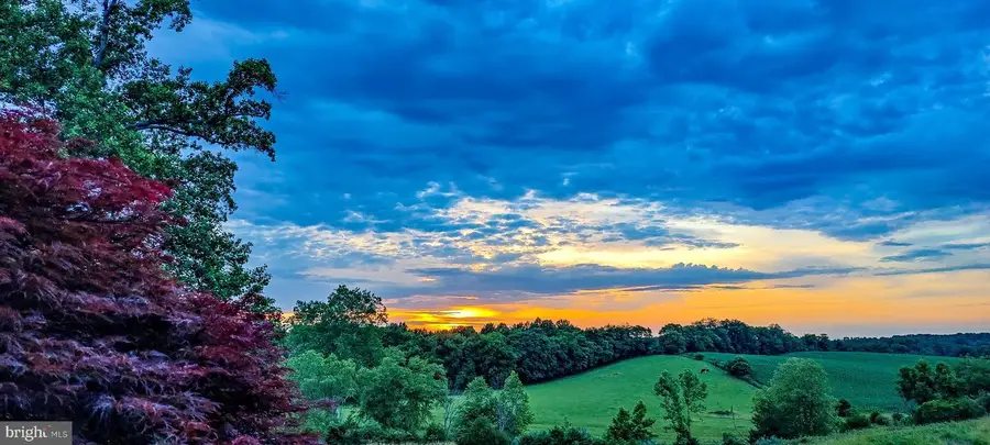 8396 Rixeyville Rd, Rixeyville, VA 22737 - #3