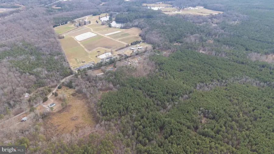 23206 Telegraph Rd, Ruther Glen, VA 22546 - Image #2