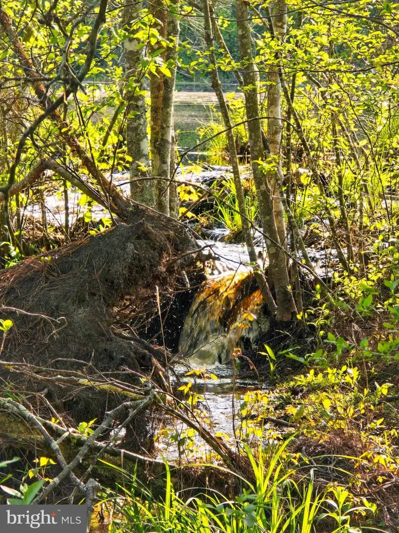 Lot 43a & 34b Jennings, Ruther Glen, VA 22546 - #2