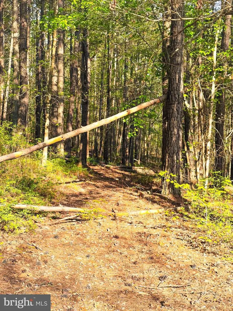 Lot 43a & 34b Jennings, Ruther Glen, VA 22546 - #3