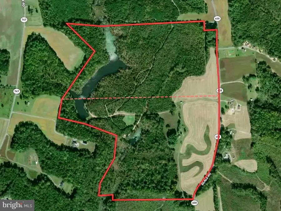 18262 Seals Rd, Bowling Green, VA 22427 - #2