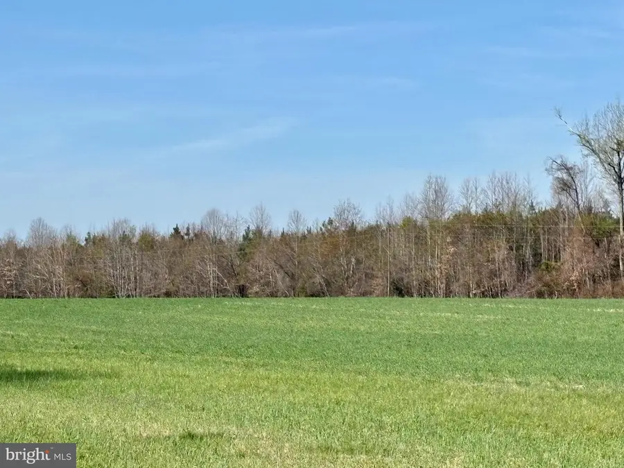 23205 Carneal Ln, Ruther Glen, VA 22546 - #3