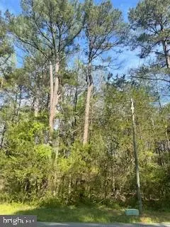 186 Patrick Henry Dr, Ruther Glen, VA 22546 - #1