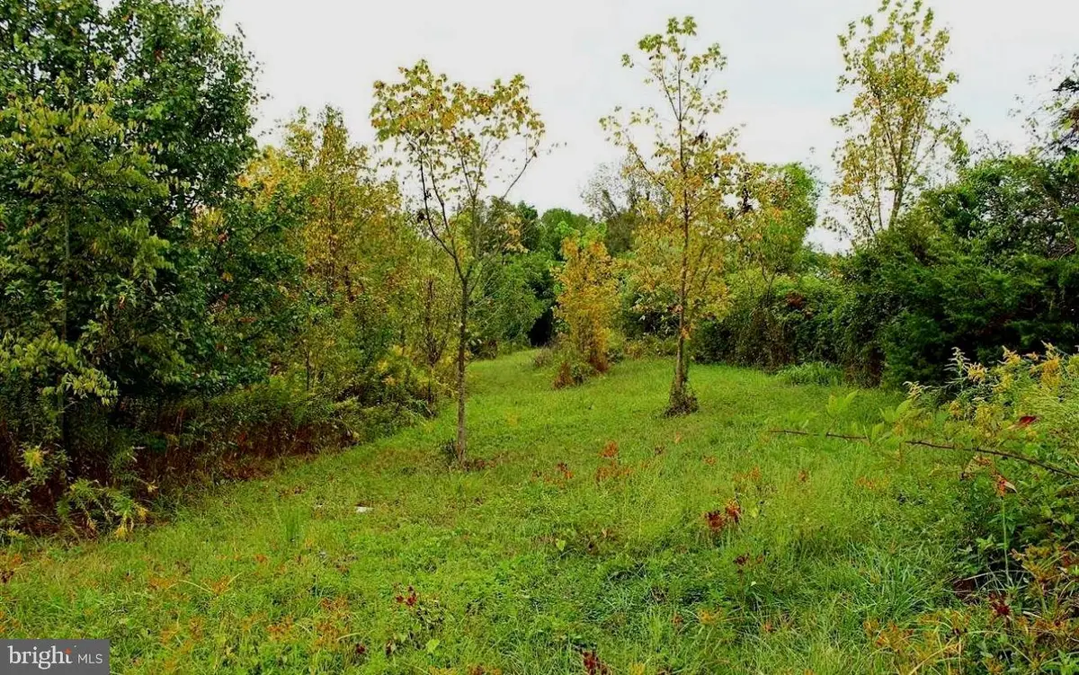 Cedar Ln, Bowling Green, VA 22427 - #1