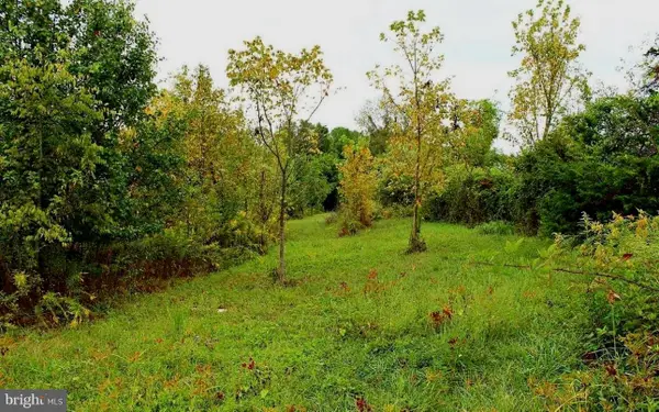 Cedar Ln, BOWLING GREEN, VA 22427