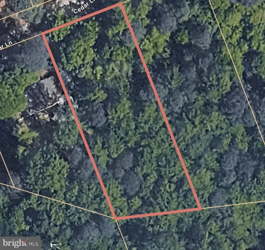 Cedar Ln, Bowling Green, VA 22427 - #3