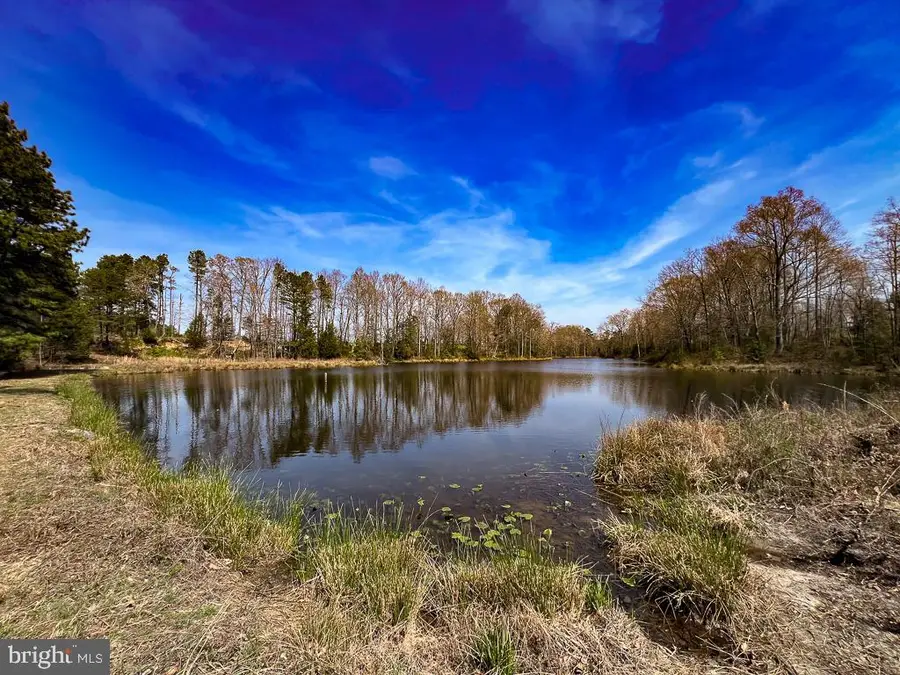 32082 Sparta Rd, Milford, VA 22514 - #3