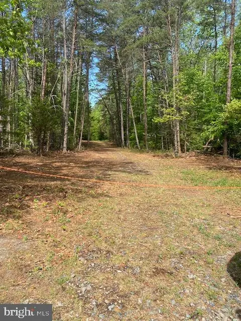 0-0 Carters Gate Rd, Ruther Glen, VA 22546 - #1