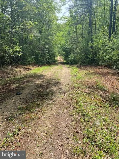 0-0 Carters Gate Rd, Ruther Glen, VA 22546 - #3