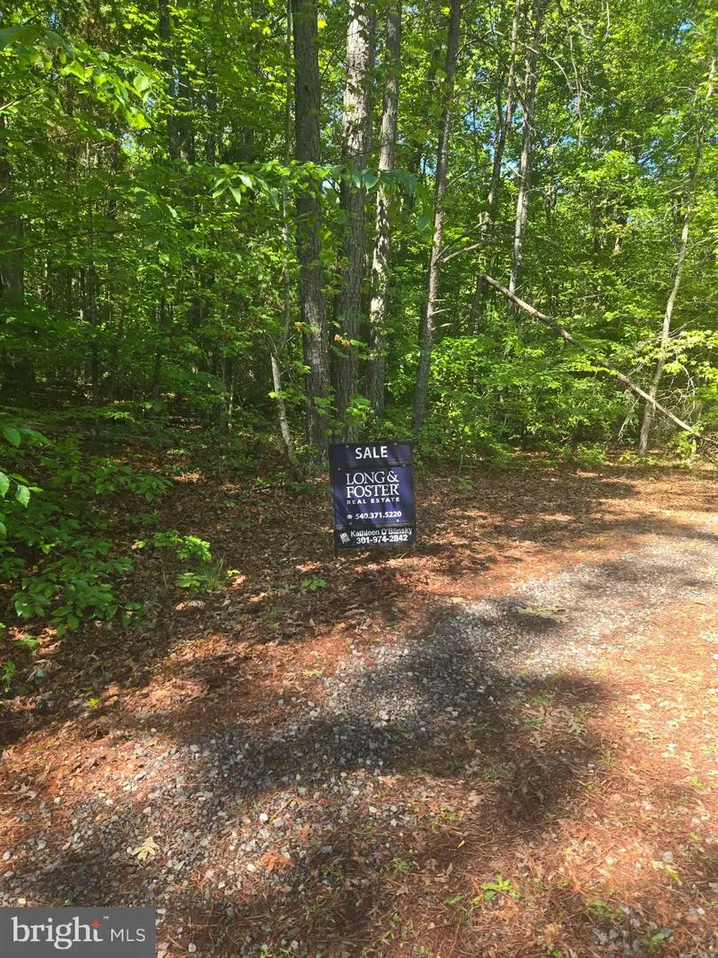 2 Mcduff Dr, Ruther Glen, VA 22546 - #2