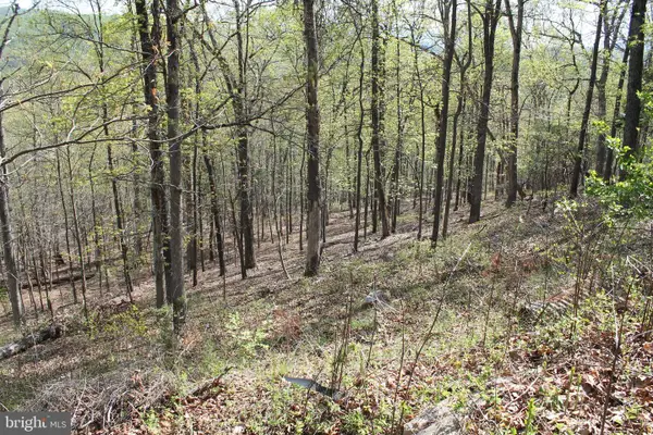 224 Estate Dr, RUTHER GLEN, VA 22546