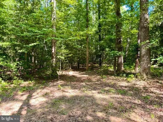 Countyline Church Rd, Woodford, VA 22580 - #3