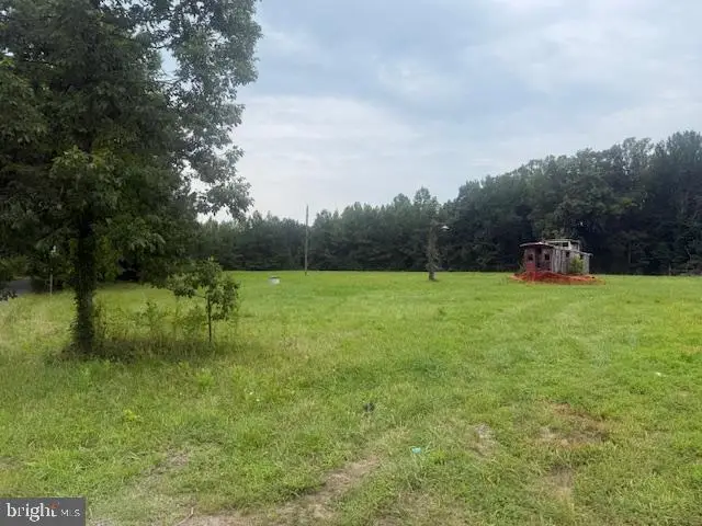 5035 Blantons Rd, Ruther Glen, VA 22546 - #2