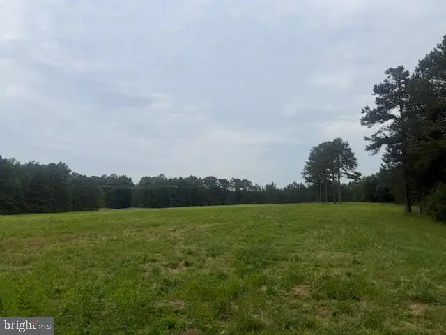 Gatewood, Ruther Glen, VA 22546 - #2