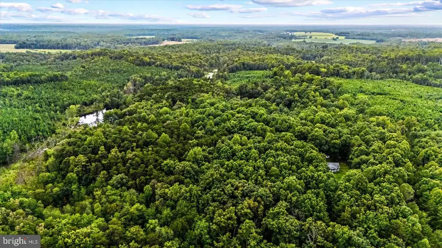 Pond Rd, Ruther Glen, VA 22546 - #2