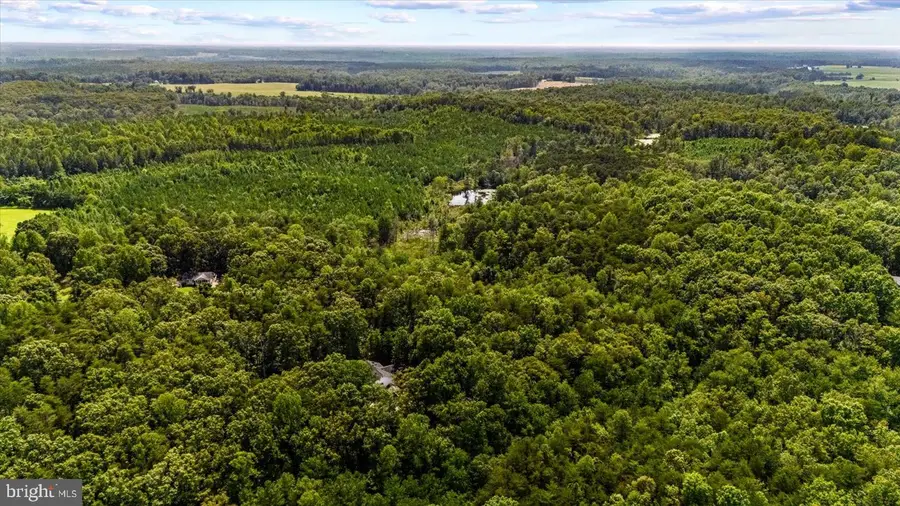Pond Rd, Ruther Glen, VA 22546 - #3