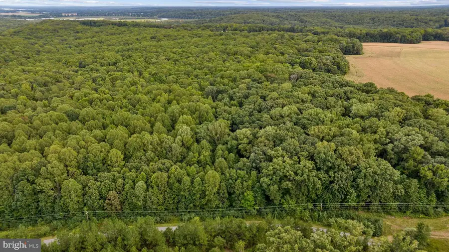 3401 Buckner Rd, Rappahannock Academy, VA 22538 - #2