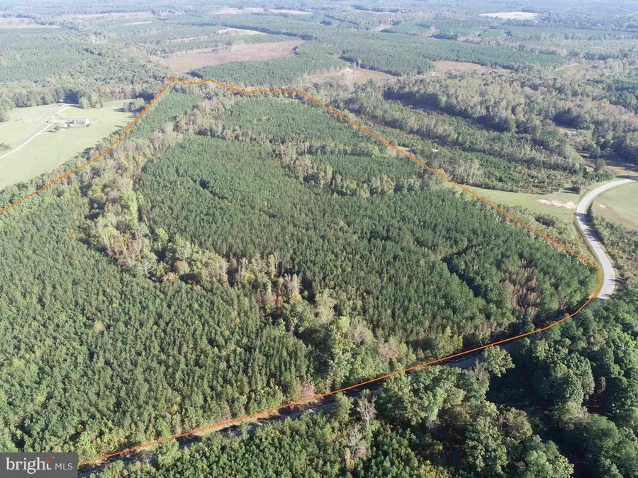 Boze Road (tract: White Oak Butterwood-1), Dewitt, VA 23840 - Image #2