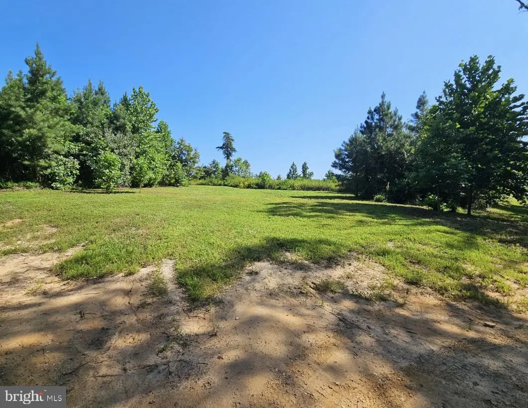 Carpenters Rest Rd, Caret, VA 22436 - #1