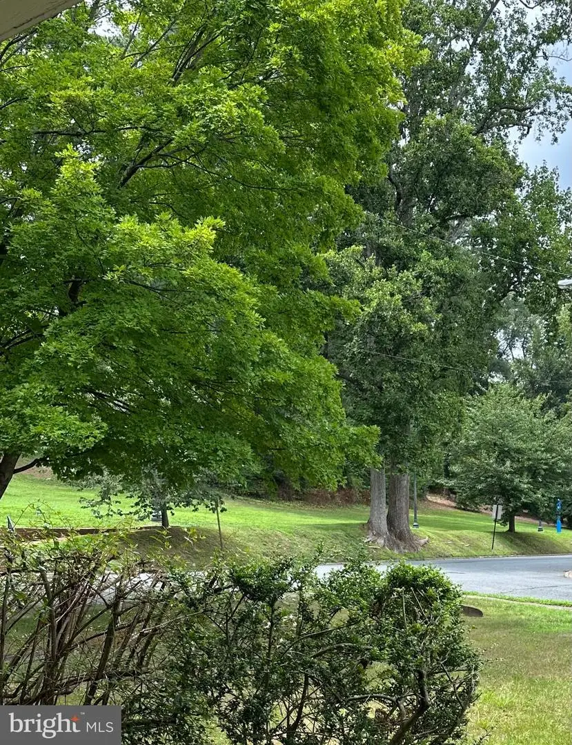 920 Cornell St, Fredericksburg, VA 22401 - #1