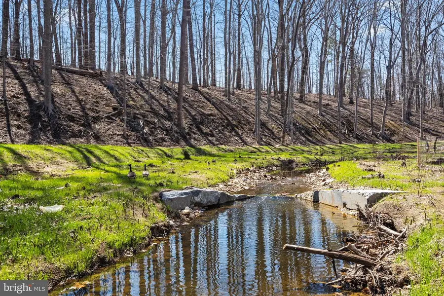 10009 Fair Woods Dr, Fairfax, VA 22030 - #2