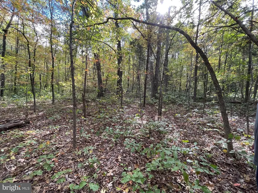 Marsh Rd, Goldvein, VA 22720 - Image #2