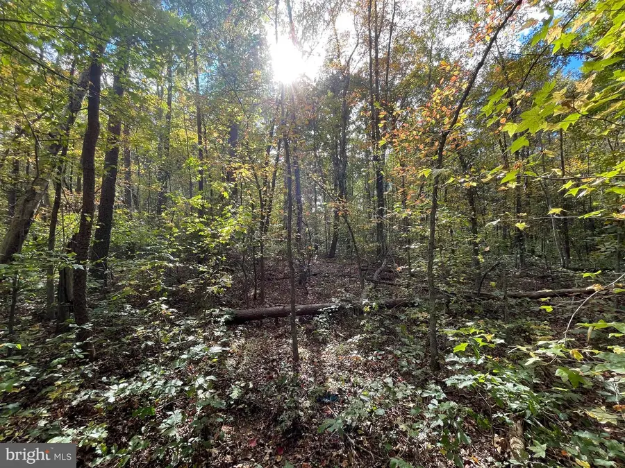 Marsh Rd, Goldvein, VA 22720 - Image #3