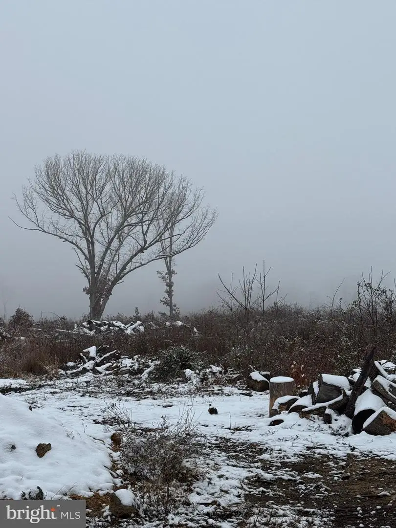 000 Old Mill Rd, Midland, VA 22728 - Image #2