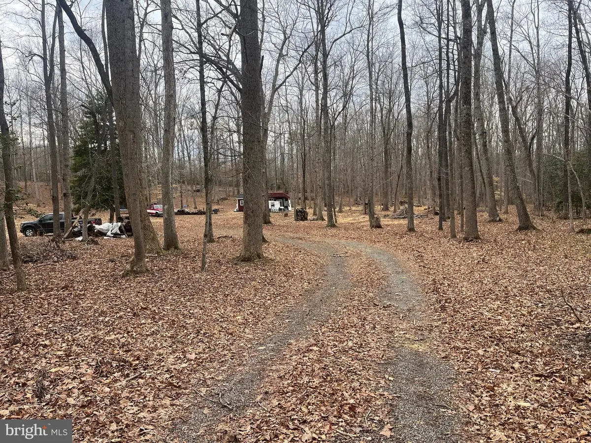 13220 Blackwood Forest Dr, Goldvein, VA 22720 - #1