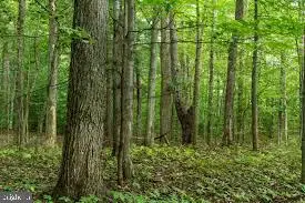 3964 Hidden Valley Ln, Marshall, VA 20115 - #1