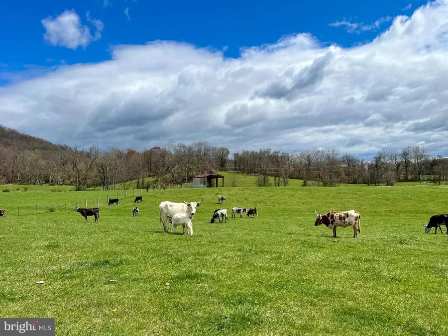 1901 Misty Meadows Ln, Markham, VA 22643 - #2