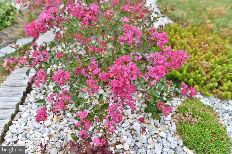 105 Keller Ct, Winchester, VA 22602 - Image #3