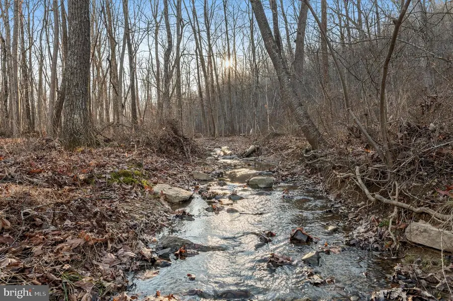 Back Creek Rd, Gore, VA 22637 - Image #3