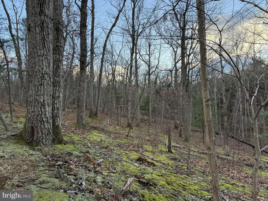 N Frederick Pike, Winchester, VA 22603 - Image #3