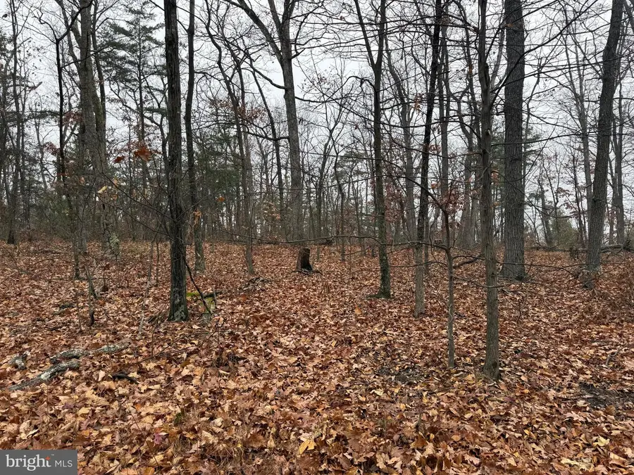 0 White Pine Ln, Winchester, VA 22602 - Image #2
