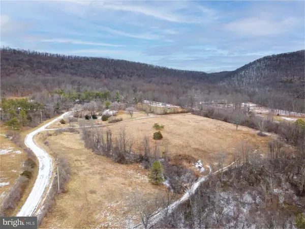 160 Capon Springs Grade, STAR TANNERY, VA 22654