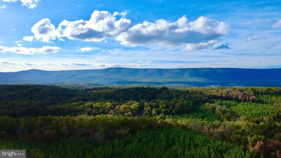 152.44 Acres Lot 2 Laurel Grove Rd, Winchester, VA 22602 - Image #3