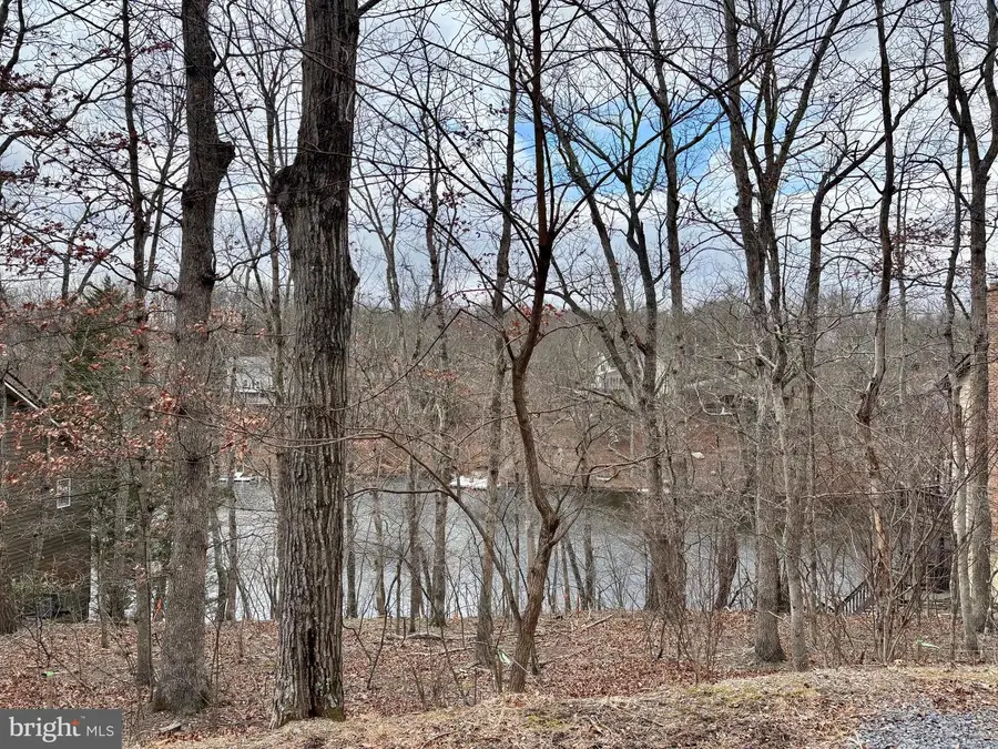 1065 Lakeview Dr, Cross Junction, VA 22625 - Image #2