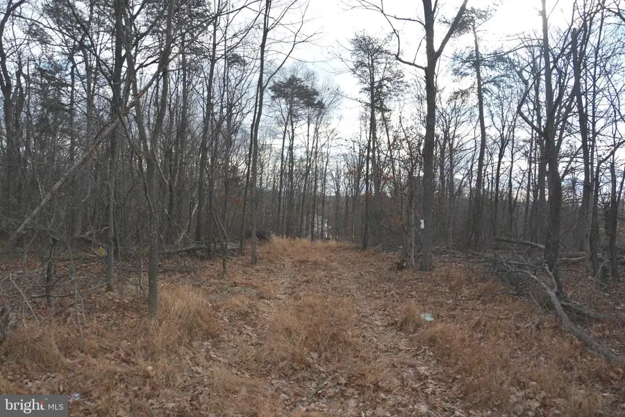 N Timber Ridge Rd #lot 1 (54), Cross Junction, VA 22625 - Image #2