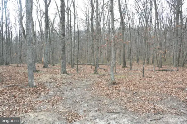 N Timber Ridge Rd #lot 4 (60 A), CROSS JUNCTION, VA 22625