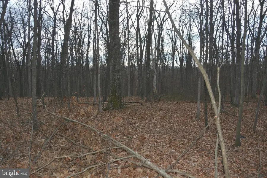 N Timber Ridge Rd #lot 4 (60 A), Cross Junction, VA 22625 - Image #2