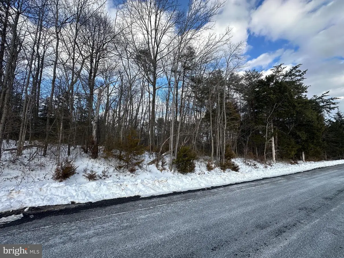 0 Hollow Rd, Gore, VA 22637 - #1