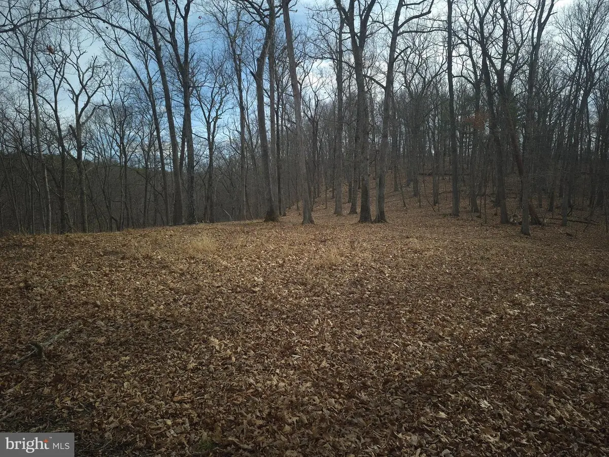 Lot 17 Hodges Ln, Winchester, VA 22603 - #1