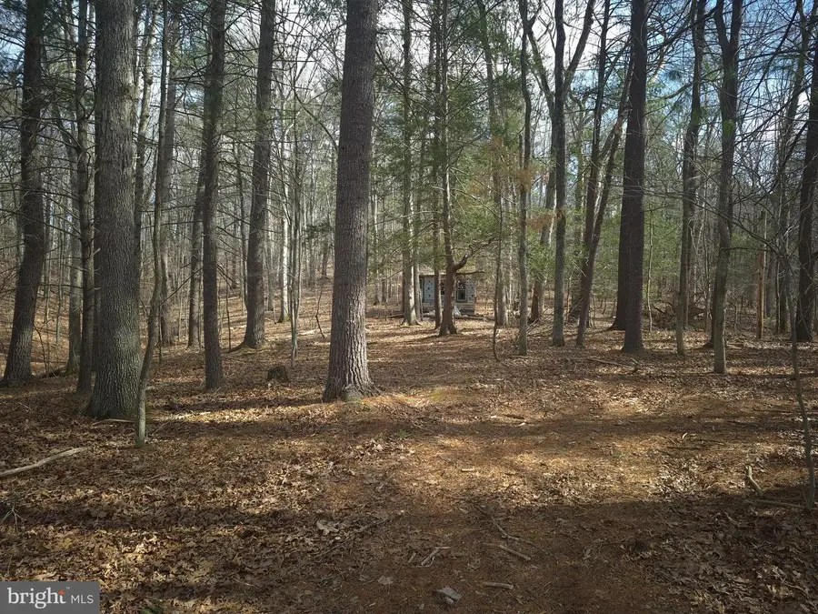 Lot 17 Hodges Ln, Winchester, VA 22603 - #2